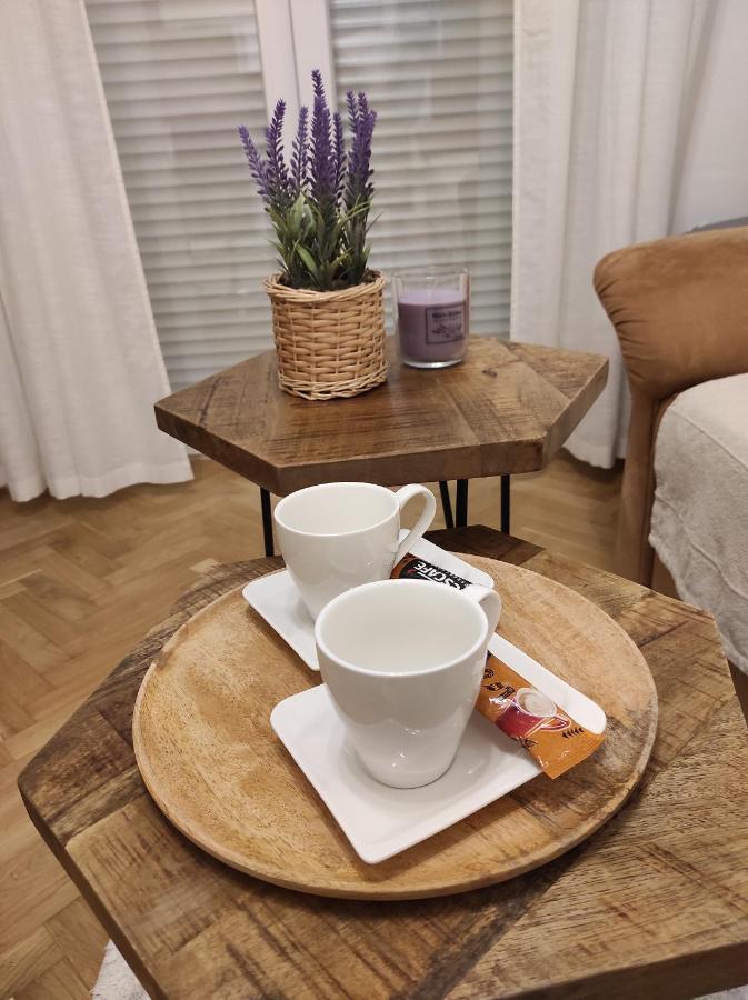 Dea Apartment Rijeka Bagian luar foto
